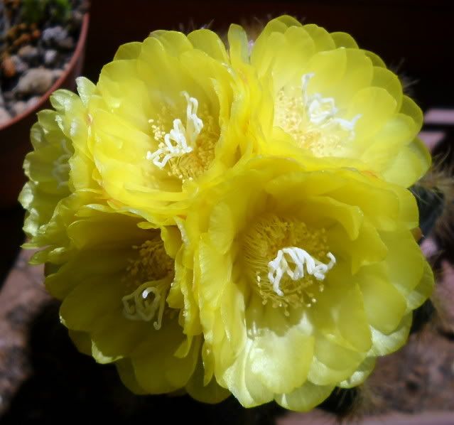 DSCN3125.jpg